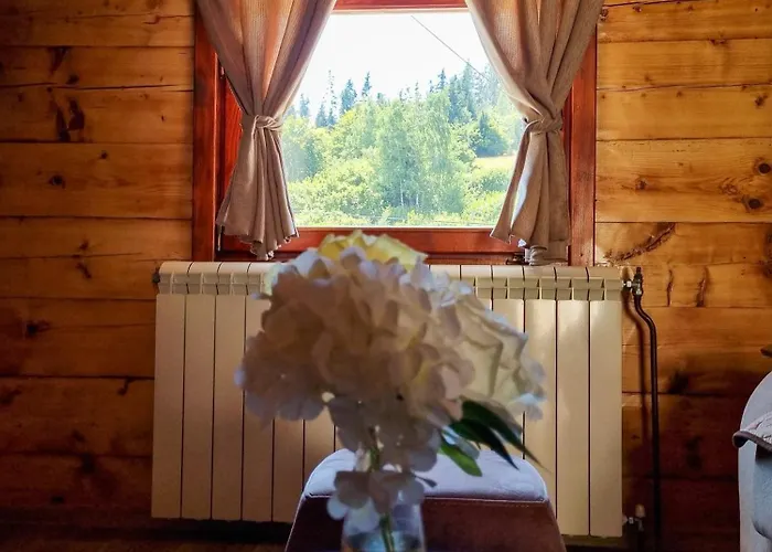 Apartment Old House Ljujic Nova Varoš